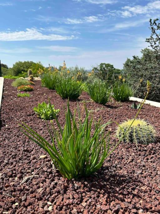 Sous Le « Figuier » Villa Cornillon-Confoux Exteriör bild